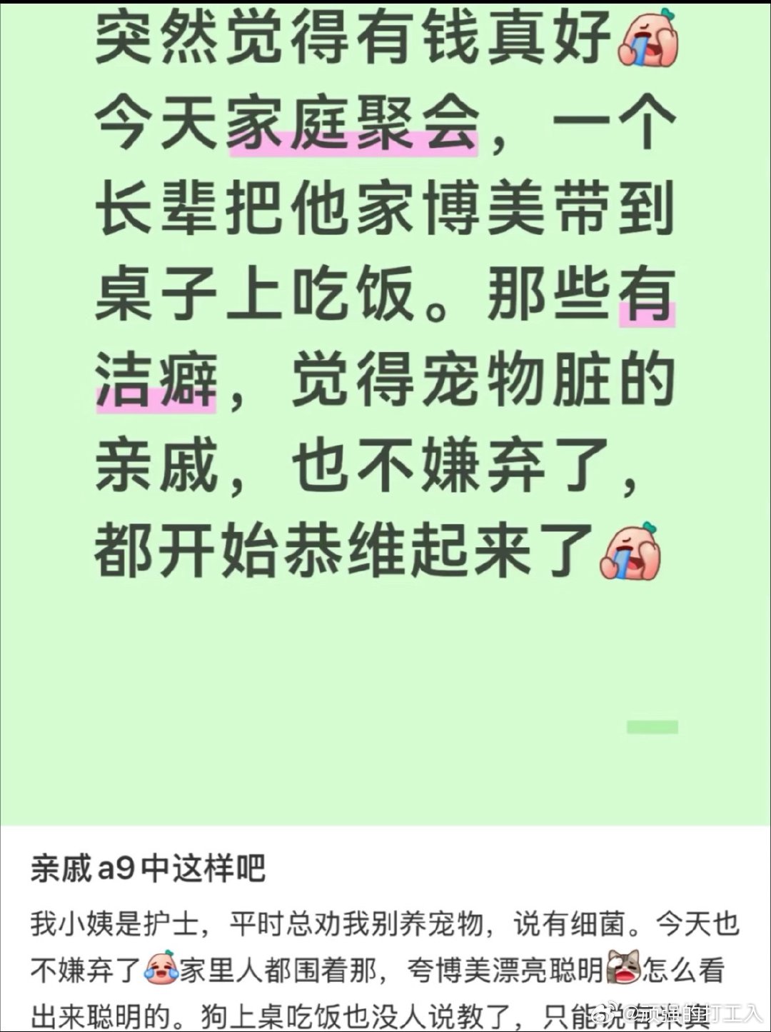 每次刷到📕上因为结婚/怀孕被老公家要求把猫狗送走，其实他们"嫌弃宠物"从来不是