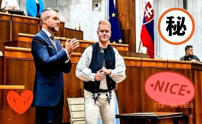 斯洛伐克，一个在欧洲地图上稍不留意就会错过的国家，却突然挺身而出，对着日本厉声斥