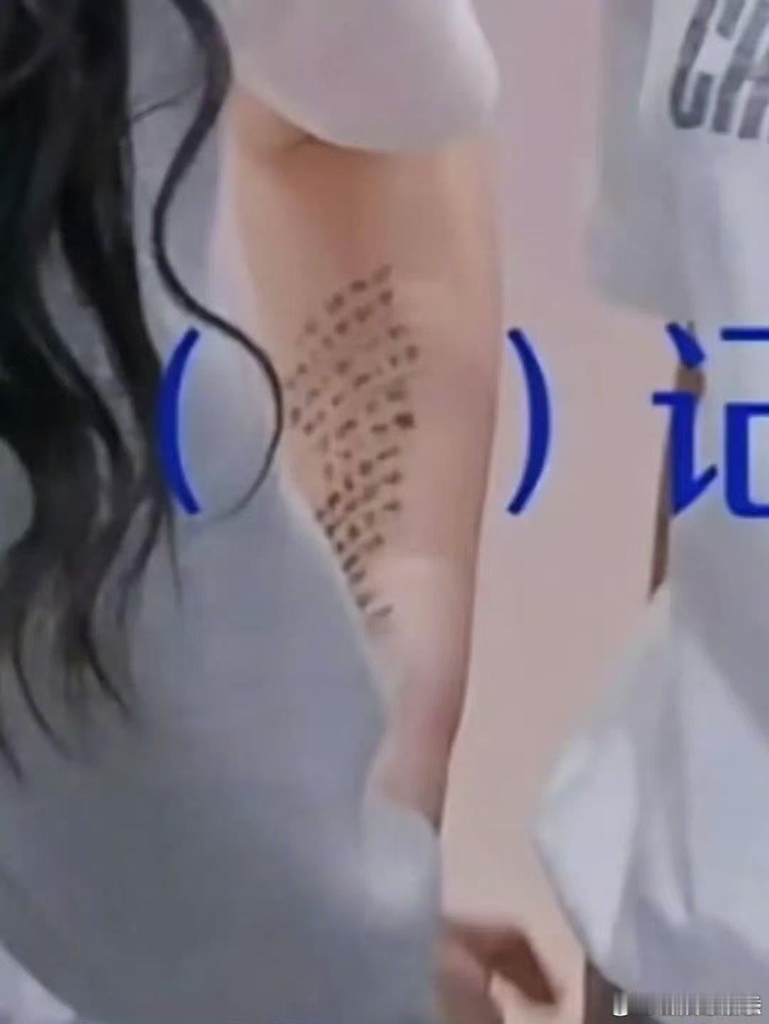 李小冉在记了两个胳膊都记了乘风2026脑力不够手臂来凑，李小冉奇葩又真实的记