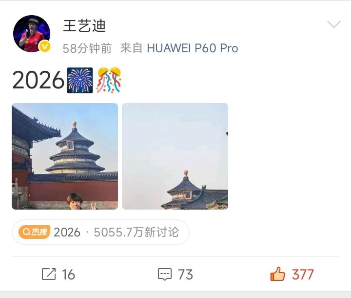 王艺迪的新年祝福好痛快[笑着哭]！就这么几个字几个符号，一切尽在图片中[赞]！