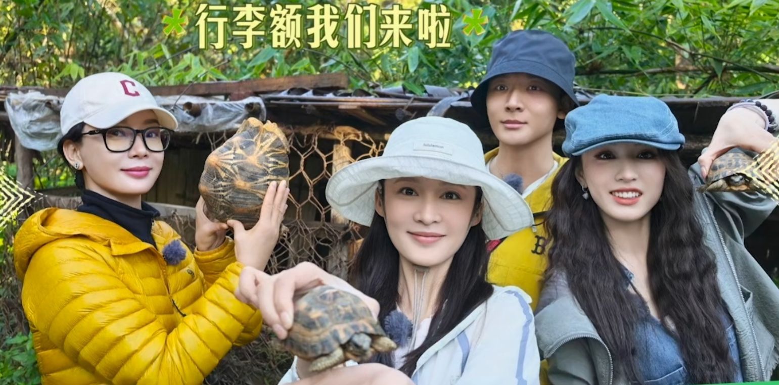 李沁来都来了谁懂看《花儿与少年》被李沁圈粉的快乐！她打鸡蛋的反差萌，被变色龙吓