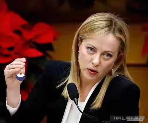 意大利总理说的非常对！12月14日彭博社报道，意大利总理梅洛尼称，欧洲不应接