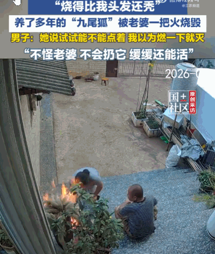 好奇心害死猫！云南昆明，一男子刚美滋滋地欣赏完自己打理好的宝贝“九尾狐”盆栽，他