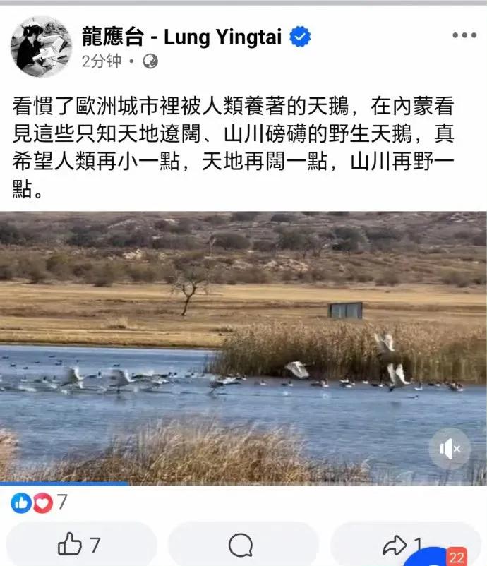 龙应台最近到内蒙古去旅游了一趟，这是她看到内蒙古大草原野生天鹅时发表的感想。看到