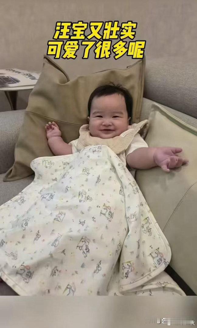 马筱梅的儿子汪吉辰坐飞机不哭不闹，安安静静好乖​​​