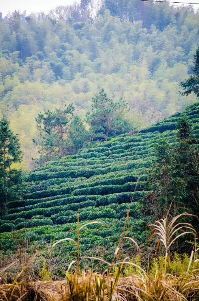 安徽·六安，大别山北麓的小村庄，岁月平淡，惊艳了时光。​​​​