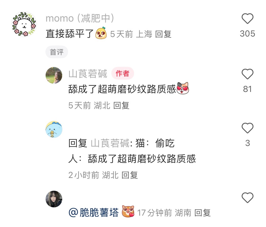 小猫的舌头磨砂力有多强