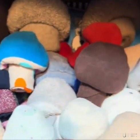 吉林媳妇太会整活！袜子叠成小蘑菇，网友：求教程，我要抄作业吉林这哥们儿的炫