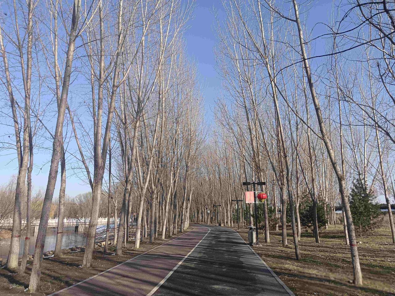 今天开完例会，我和校长吵架了。今天例会刚散，我和校长吵了起来，这事得从今年