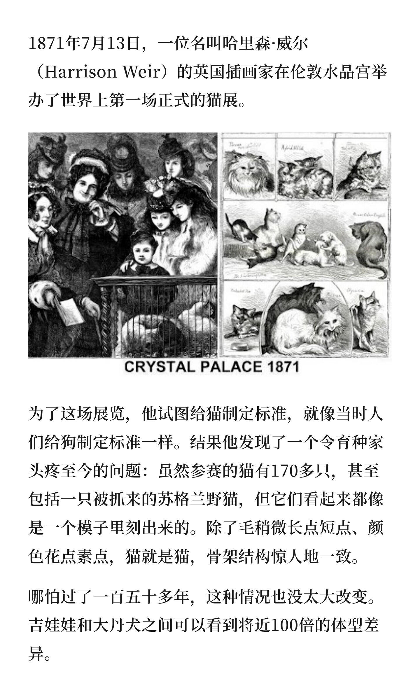 为什么猫的形状没有狗的多?