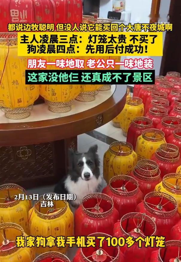笑不活了！吉林，女子半夜刷手机想要买点灯笼，选来选去觉得300块太贵就睡觉了，不