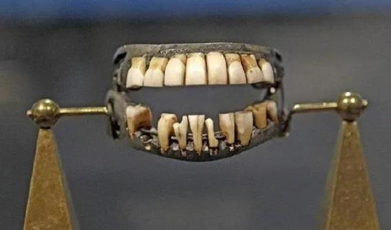 1784年，52岁的华盛顿牙齿早就已经掉光了，当时可没有所谓的假牙，于是华盛