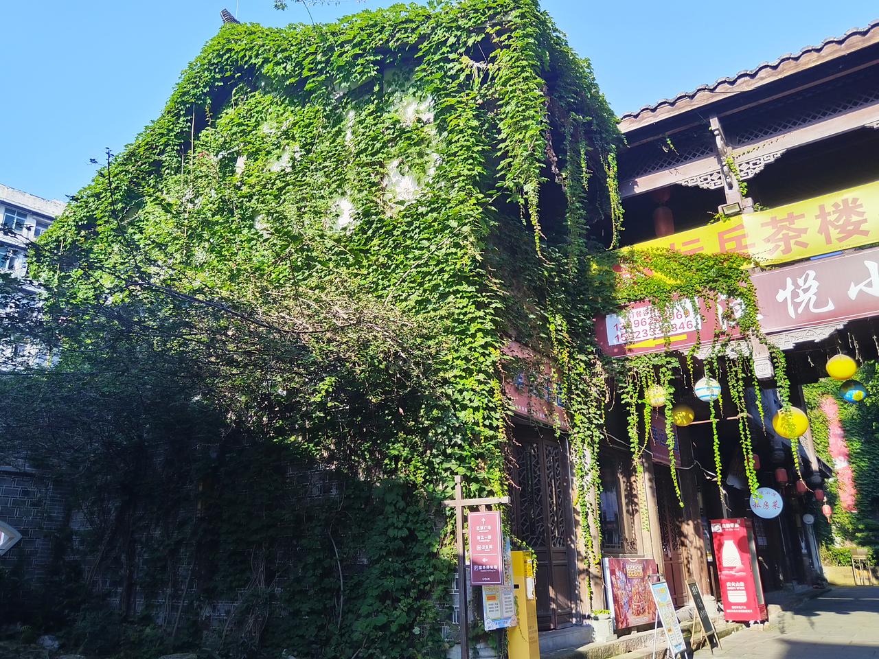 绿意盎然