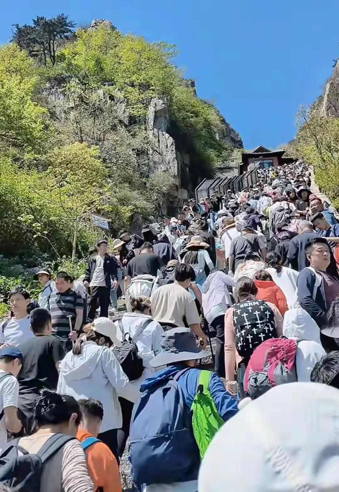 泰山陪爬，你听说过吗？我可是第一次听到，觉得很新鲜。来看看，这是五一登泰山的，还