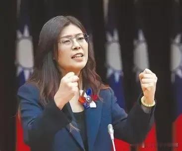 非典型的党主席，能力和阅历还是差一点！郑丽文应慎选战场。【齐天大圣时事评论[