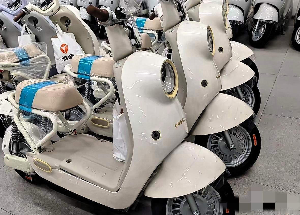 新国标电动车到底谁设计的？实用感碎一地！新国标电动车真的越用越气人！座垫下