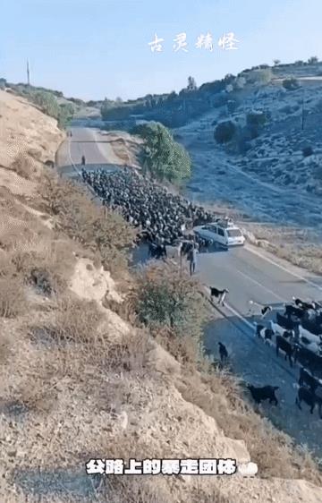 这样霸气十足的暴走团大家可喜欢