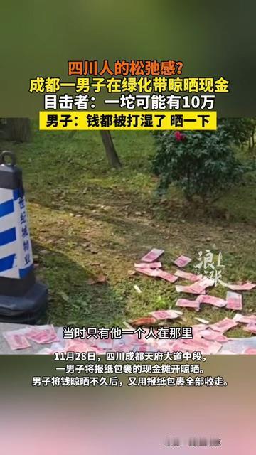 成都大哥这波操作，我直接看愣了！把10万现金铺在绿化带里晒，跟晒刚洗的棉