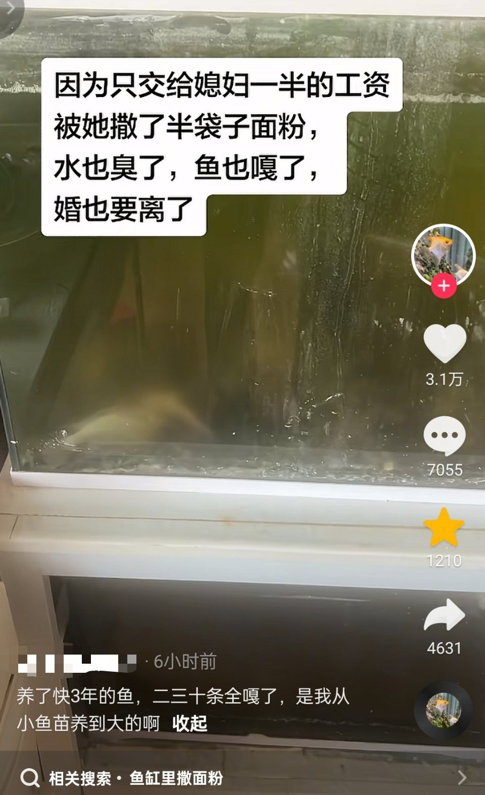 你的鱼在她眼里一文不值，因为她根本不爱你