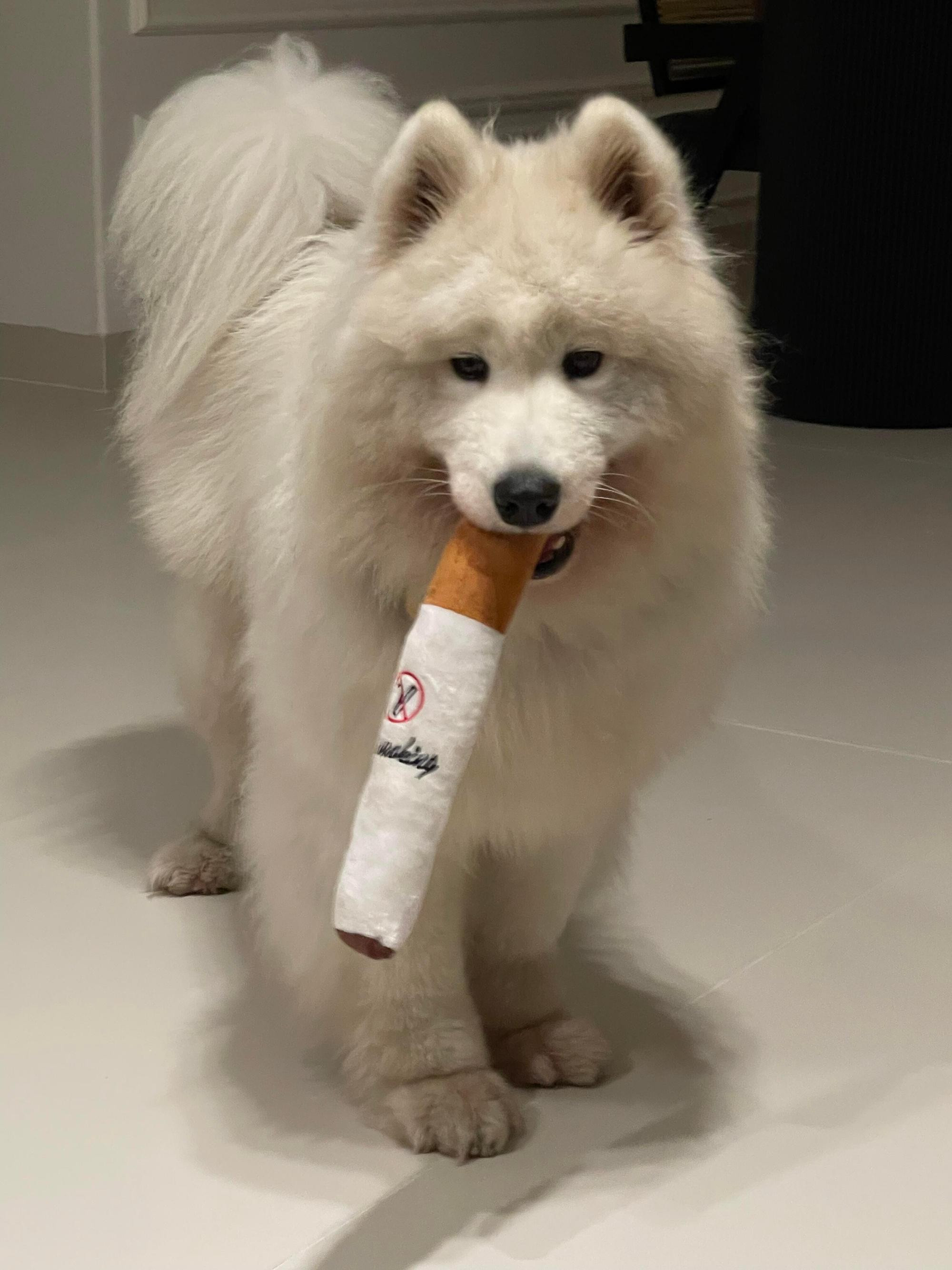 耶耶啊，他私底下烟酒都来的