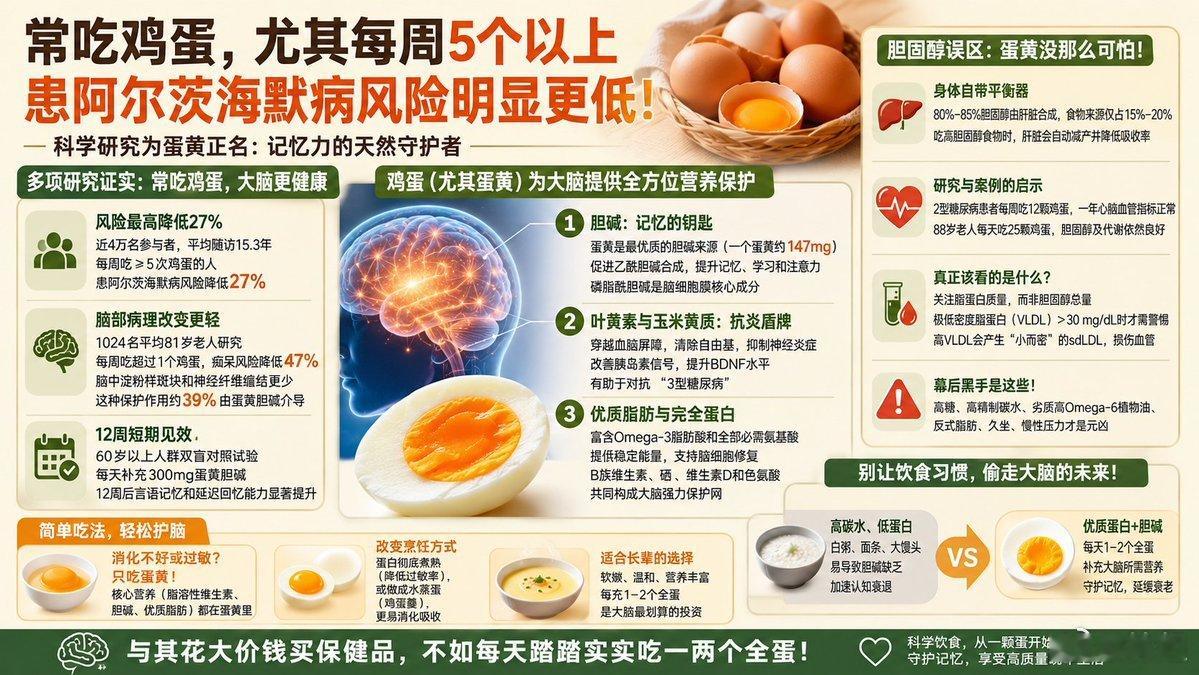 鸡蛋不仅是优质蛋白质来源，研究发现还能预防老年痴呆，可能是蛋黄提供了胆碱原料，提