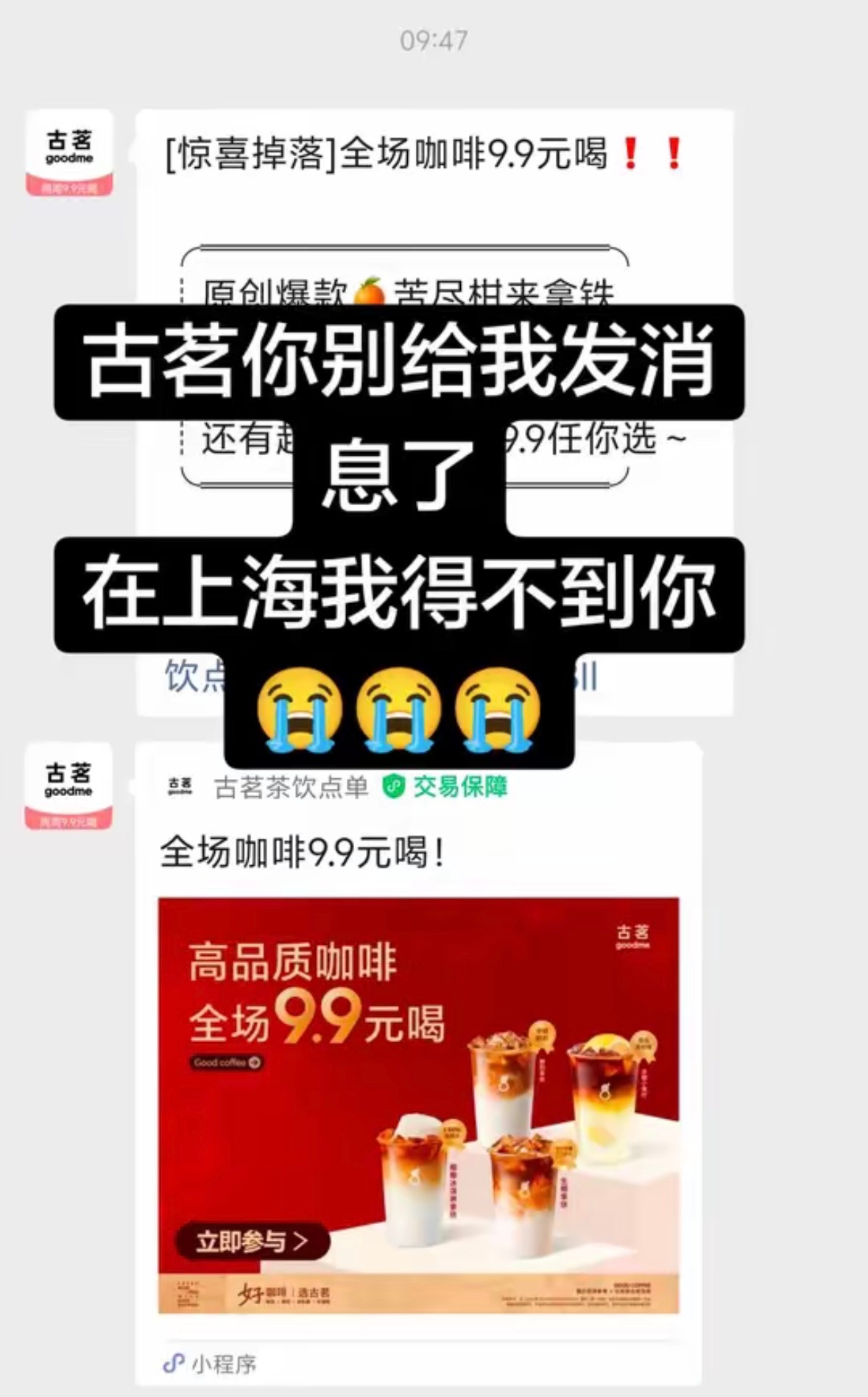 古茗什么时候原谅北京古茗为啥不来上海和北京啊有什么说法吗你们觉得古茗有什么好喝的
