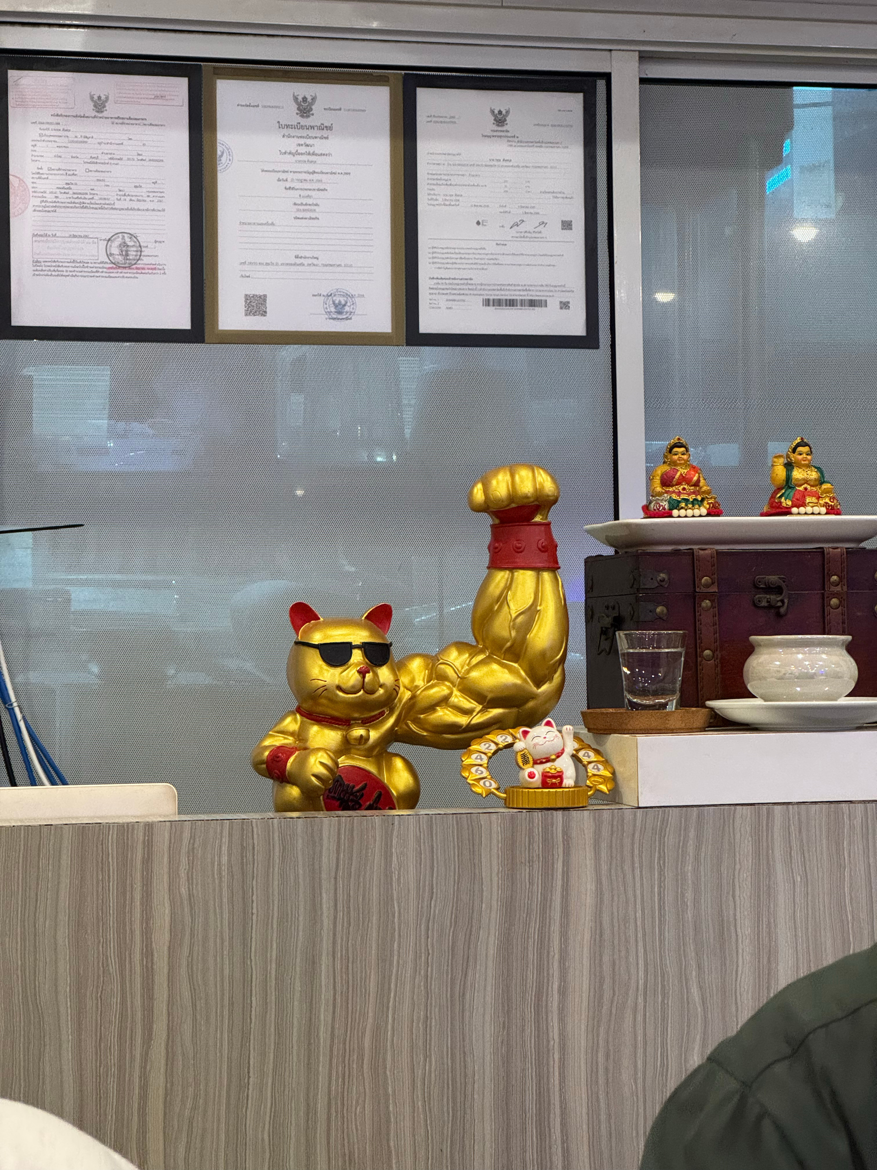 三个细狗还没一只猫的手臂粗💪(•_•💪)