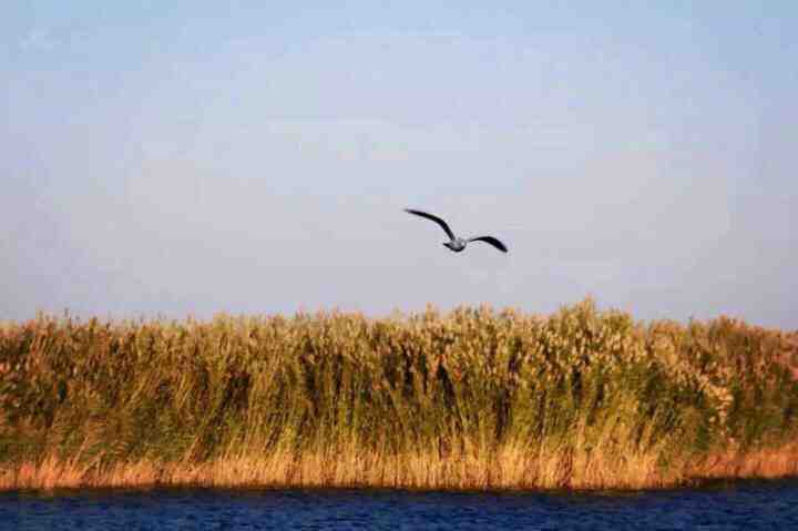 日落居延海，做一个夕阳的收集者，落日楼头，走向天涯！