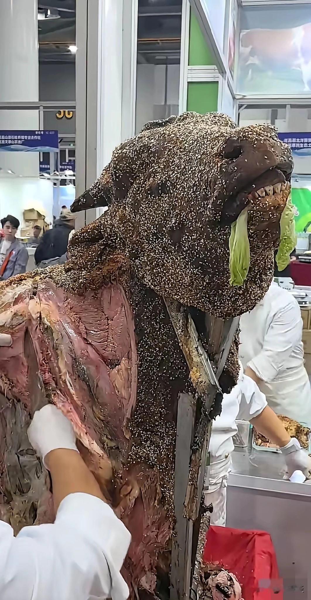 地球上再也没有比人类更坏的动物了，怎么忍心下得了嘴？在一家餐饮店，店家为了让顾客