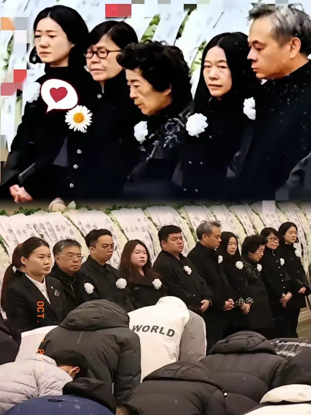 杨先生告别会上,一个名字的缺席比所有到场的人更扎眼——大儿子