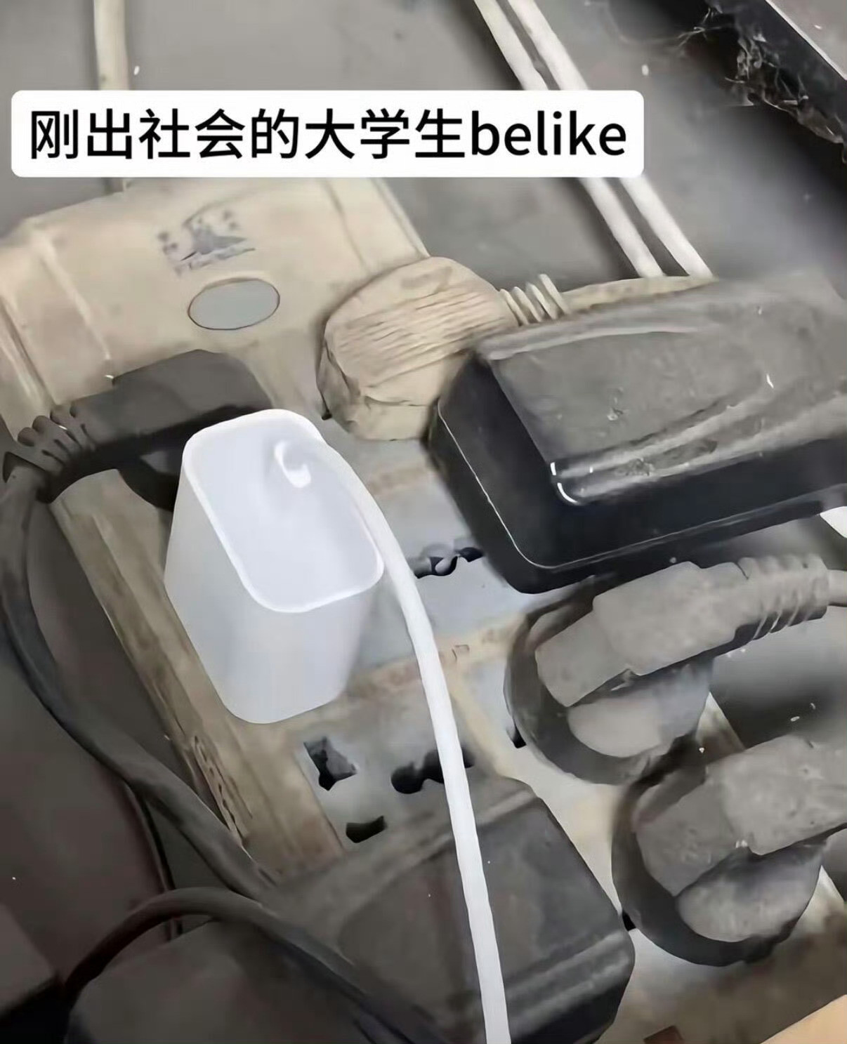 刚出社会的大学生belike：