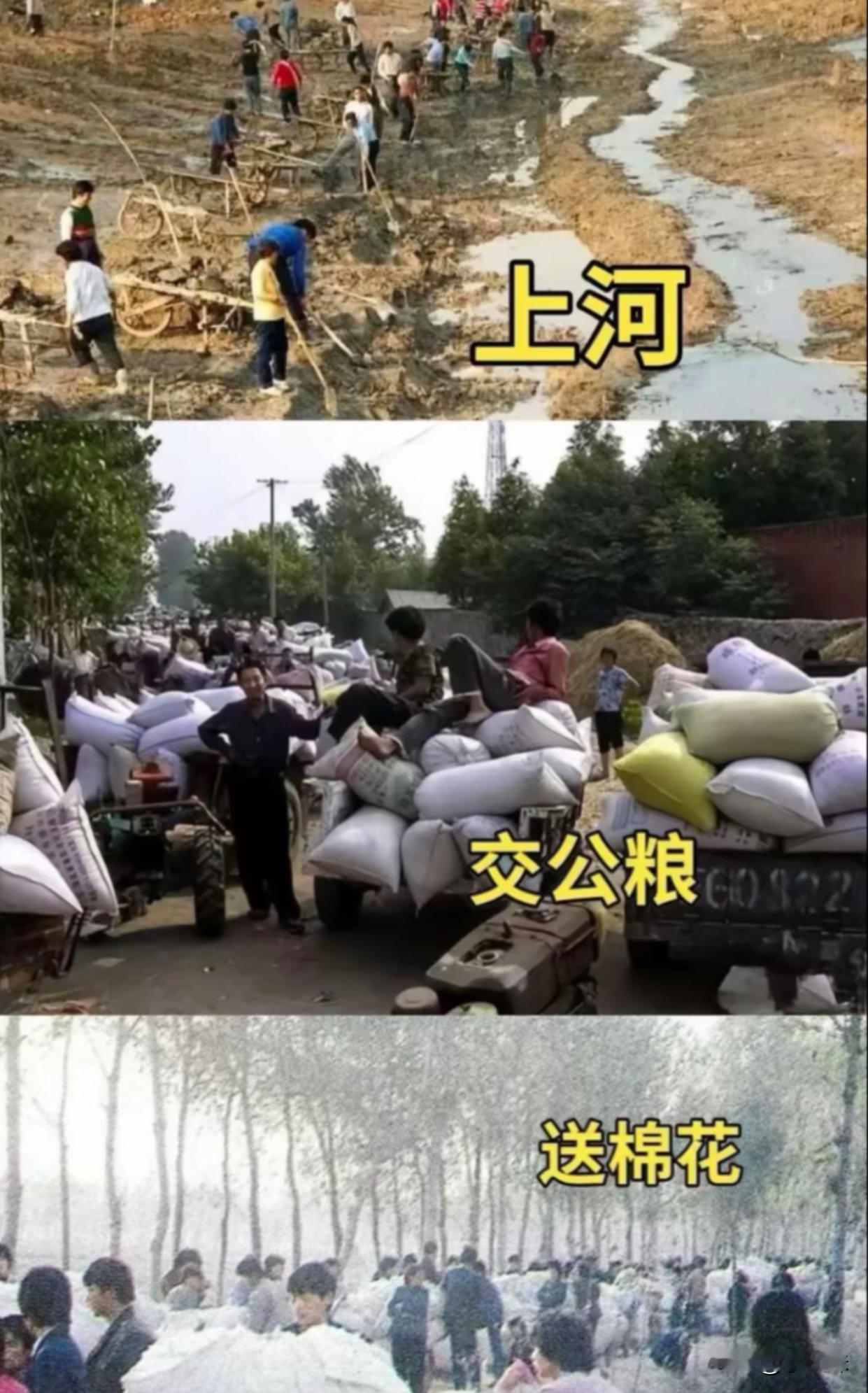 这三样都干过的，现在多少岁了？