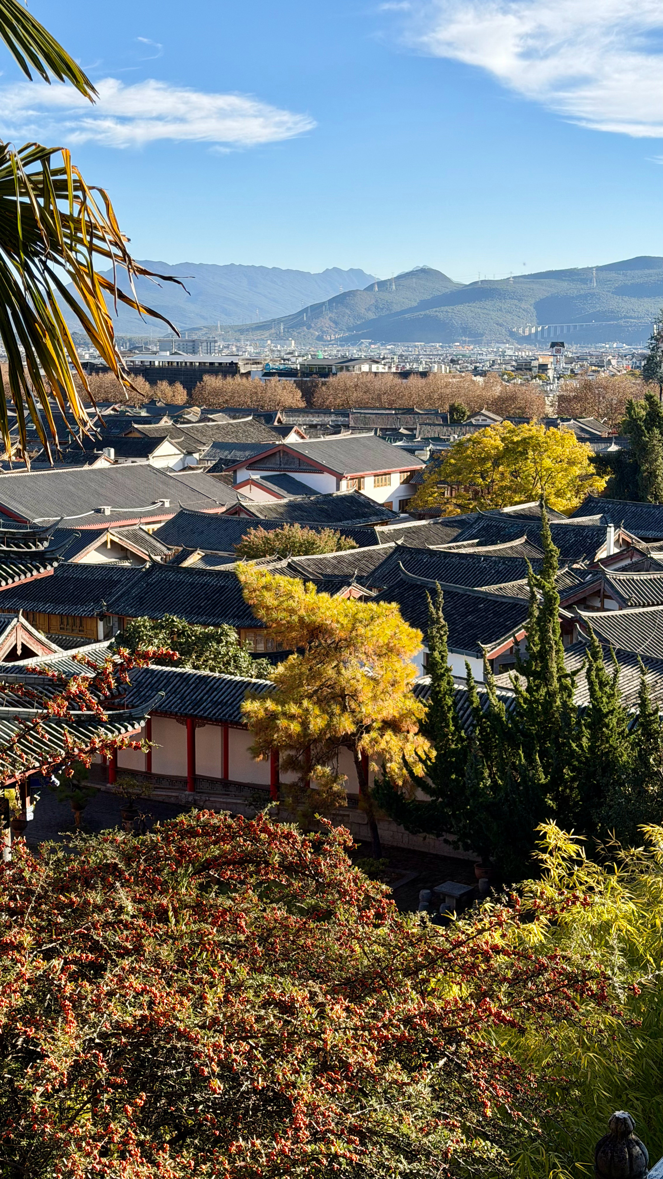 带爸妈丽江一周游，想结合自然山水和民族风情，给你一份经典不踩雷的安排第一天到丽