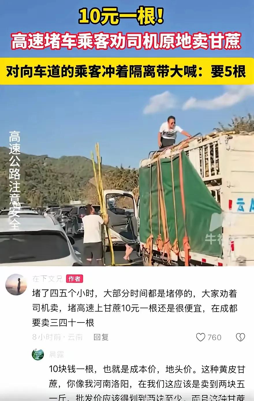 笑不活了！云南墨江高速堵车，直接把货车司机逼成了“高速摊主”，这波操作太绝了！