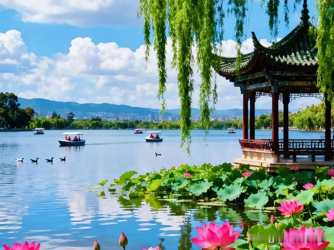 所谓的中年危机1. 压力是全方位的不敢病、不敢穷、不敢倒，父母年事已高