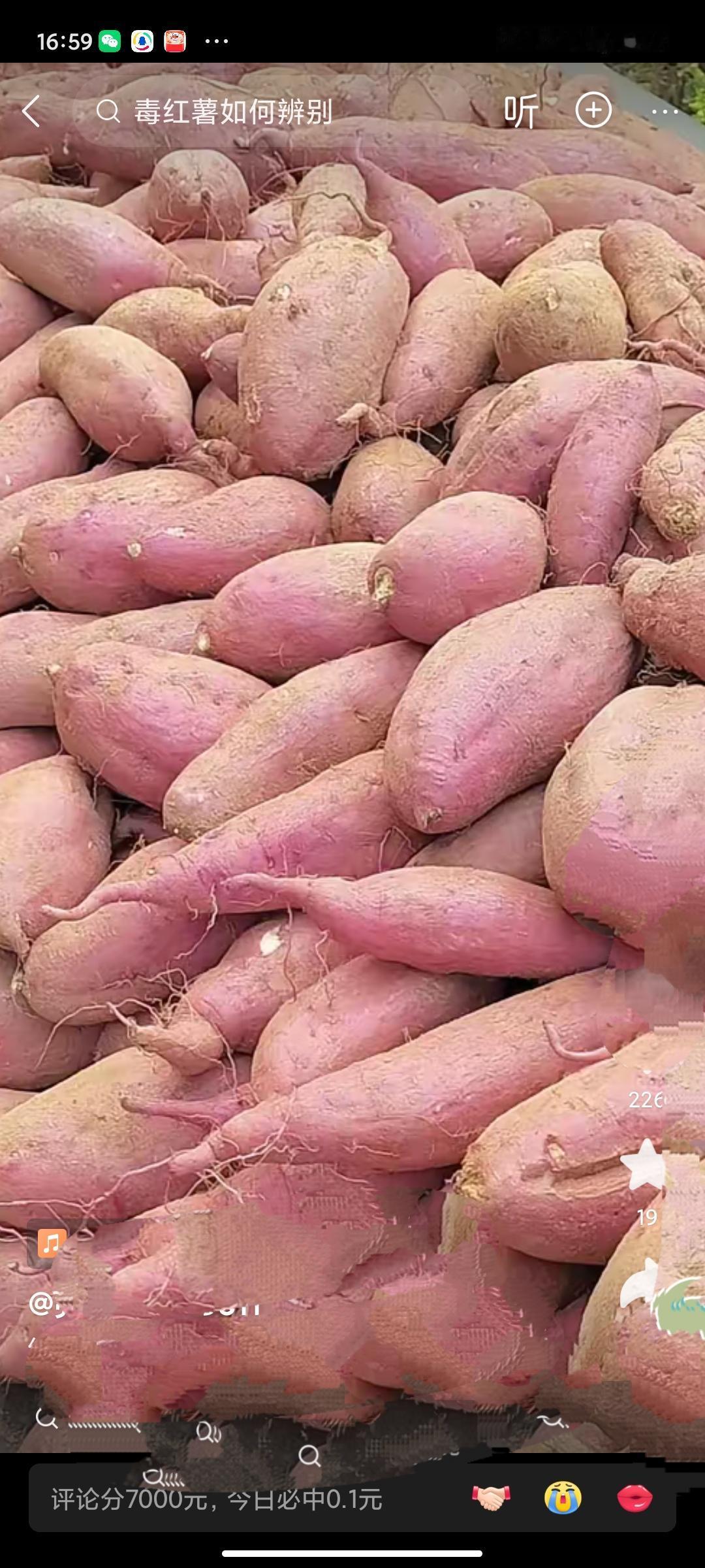 还敢吃啥啊？最近的红薯曝光了。太可怕了。我就在想，吃的东西，想要