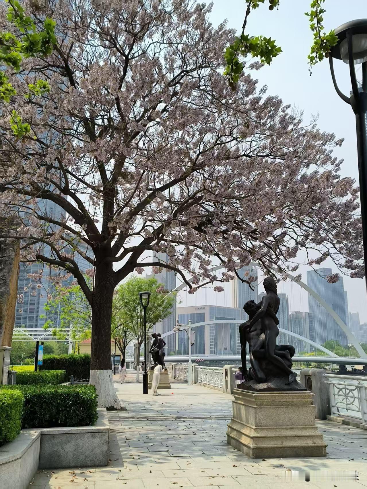 分享相册里的天津风景。散步随拍街头风景，走哪拍哪，每一处的景色都是美不胜收，让