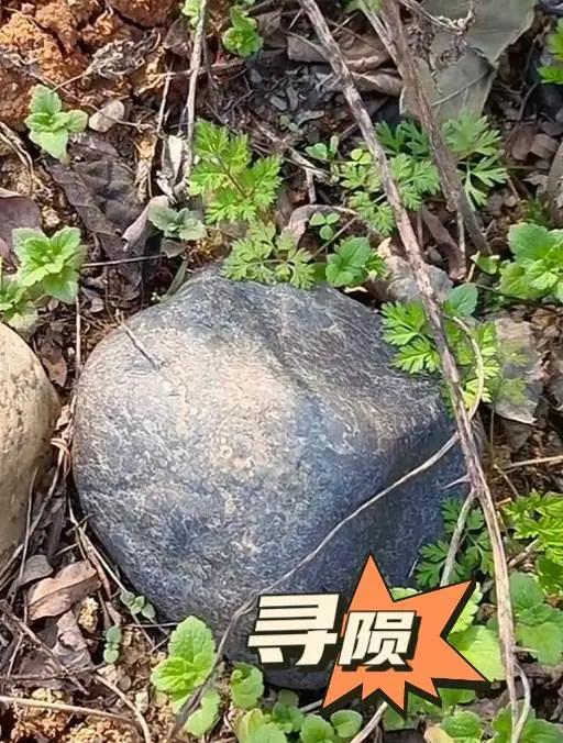 奇石异星，寻石猎陨。陨石爱好者户外捡石