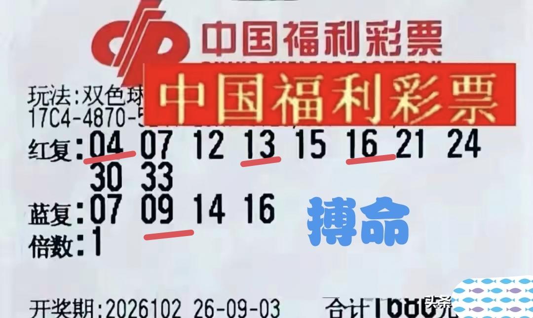 搏命成功。这一张第102期福彩双色球的10+4复式彩票，居然成功中奖，命中3+
