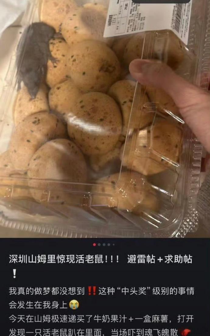 深圳一山姆麻薯盒出现活老鼠太过离谱没办法想出是怎么进去了没出调查结果前蹲一个后续