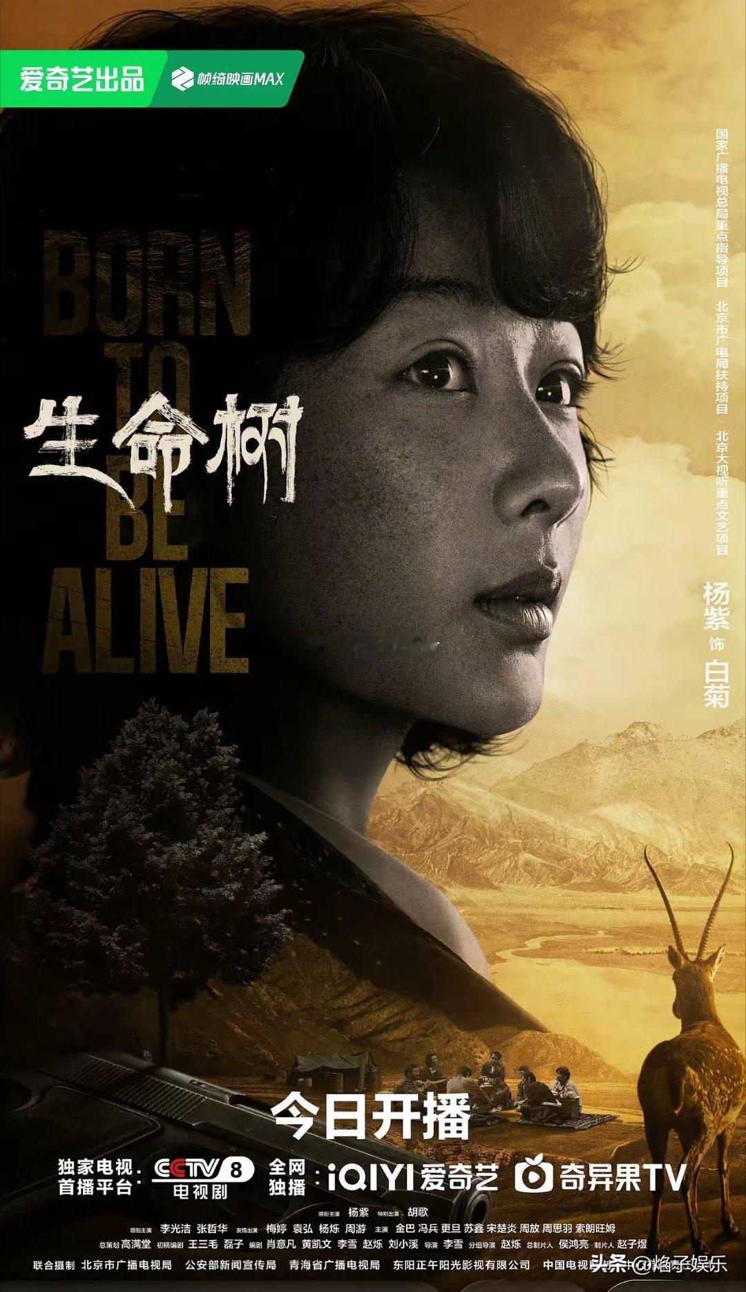 《生命树》热度又降了…已经连续降了两天，在周末这个升热度最好的时间，《生命树》今