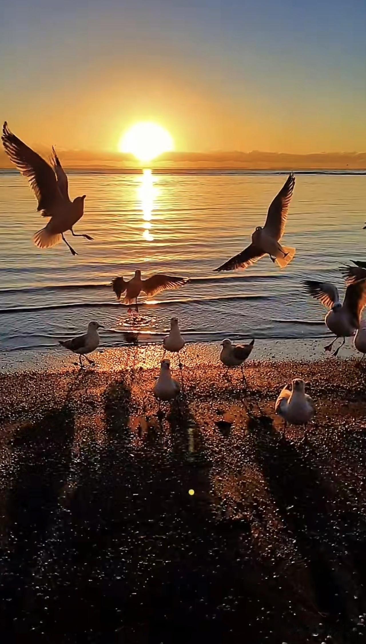 新思维：努力的意义，让自己喜欢上自己我们总在谈努力，谈它能换来功成名就，谈它