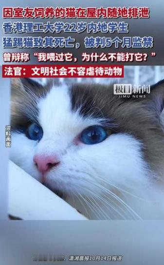 “太解气了！”香港，一就读于香港理工大学的22岁内地学生踢死了室友养的猫咪，被监