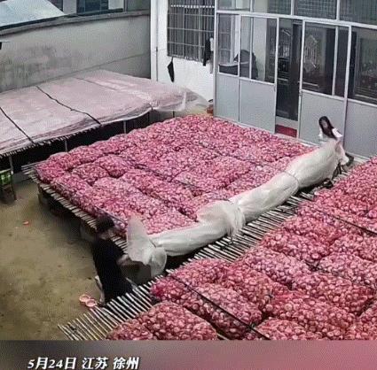 5月26日中国青年报报道，江苏，一妈妈在屋外晒大蒜，之后便出门办事，没想到半路突