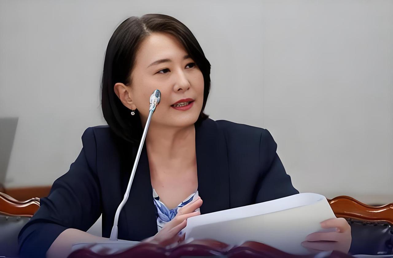 赵少康缺席全代会、中评会，王鸿薇喊话：国民党党主席选举纷争该翻篇，要学民进党，被