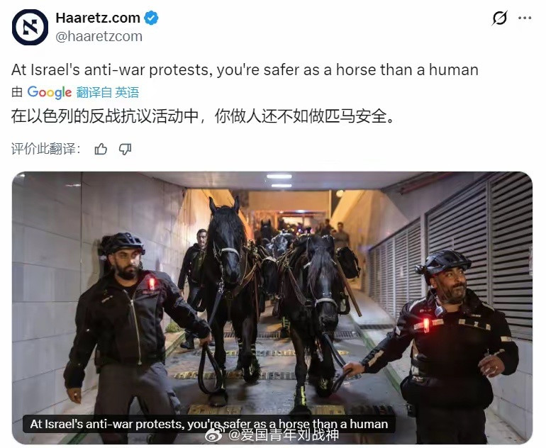 马命贵海外新鲜事热点现场