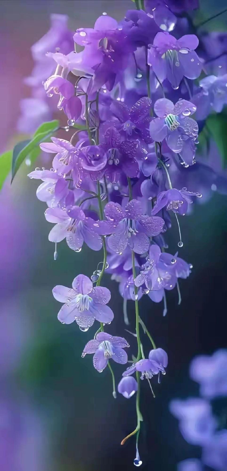 以为把钱存进去就能随便花，结果憋了我整整三年。当初跟风下了数字人民币APP，转