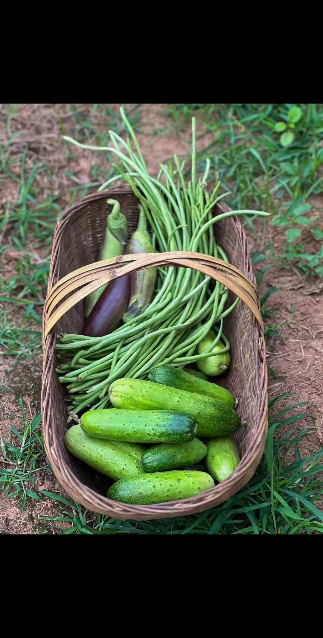 缺爱的人，其实一眼就能看得出来。 在感情里他们往往会有这几个特征： 第...