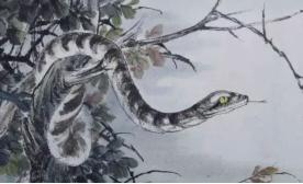 明朝，一个人在山上打猎时，看见两条大蛇缠绕在一起。那人又笑又骂后离开了。没想到，