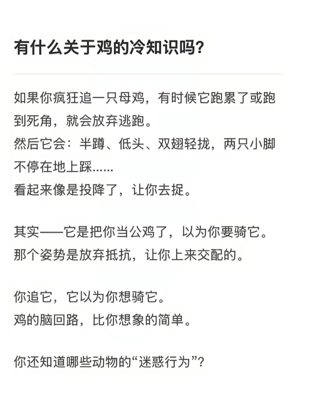 揭秘鸡的“投降”姿势，你get到了吗？🐔😂
